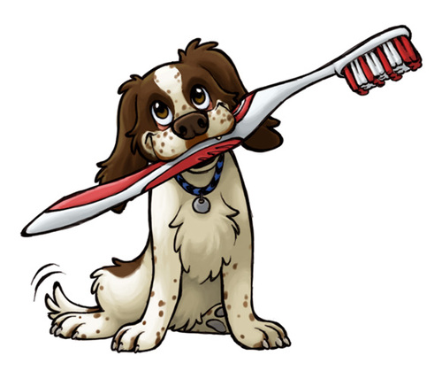 Cleaning your dogs teeth