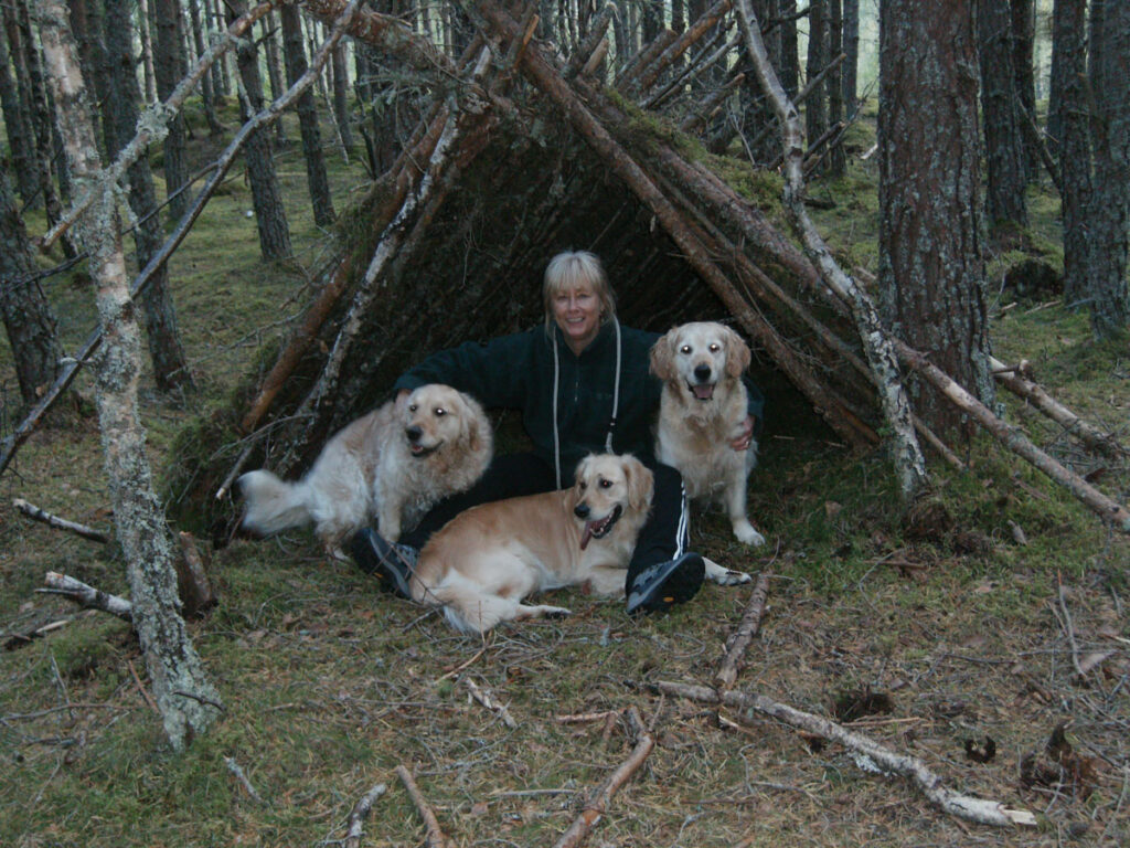 our-3-golden-retrievers-on-a-forest-walk-in-the-cairngorms