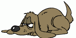 dog with stiff joints